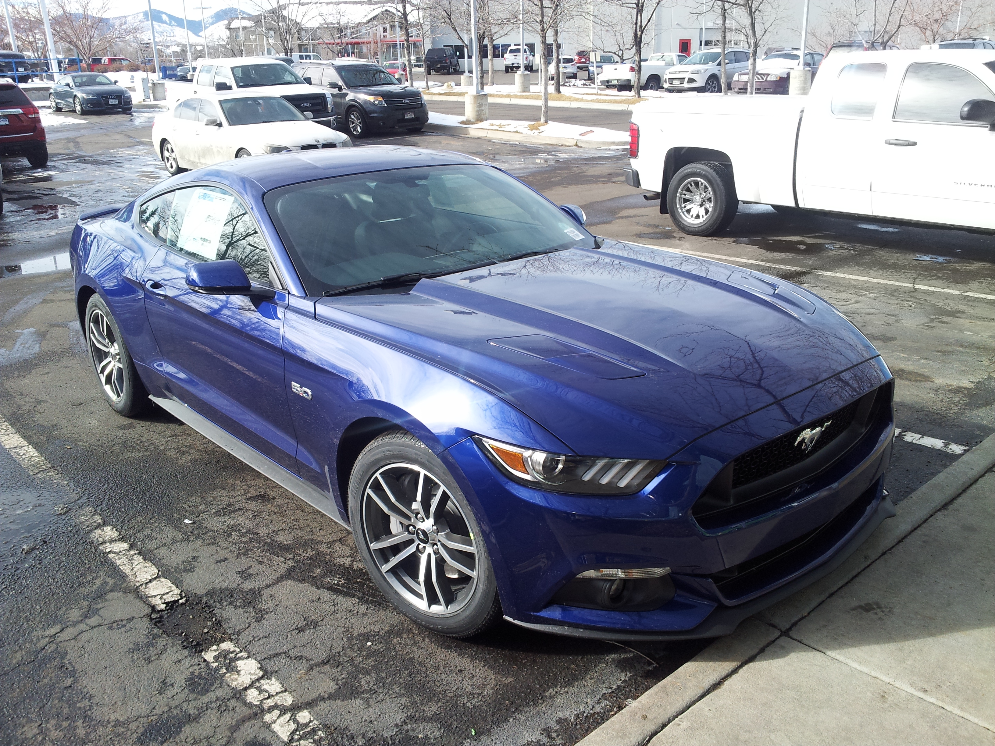 Mustang Comes Home
